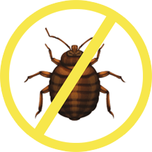bb-benefits.png bb-benefits.png